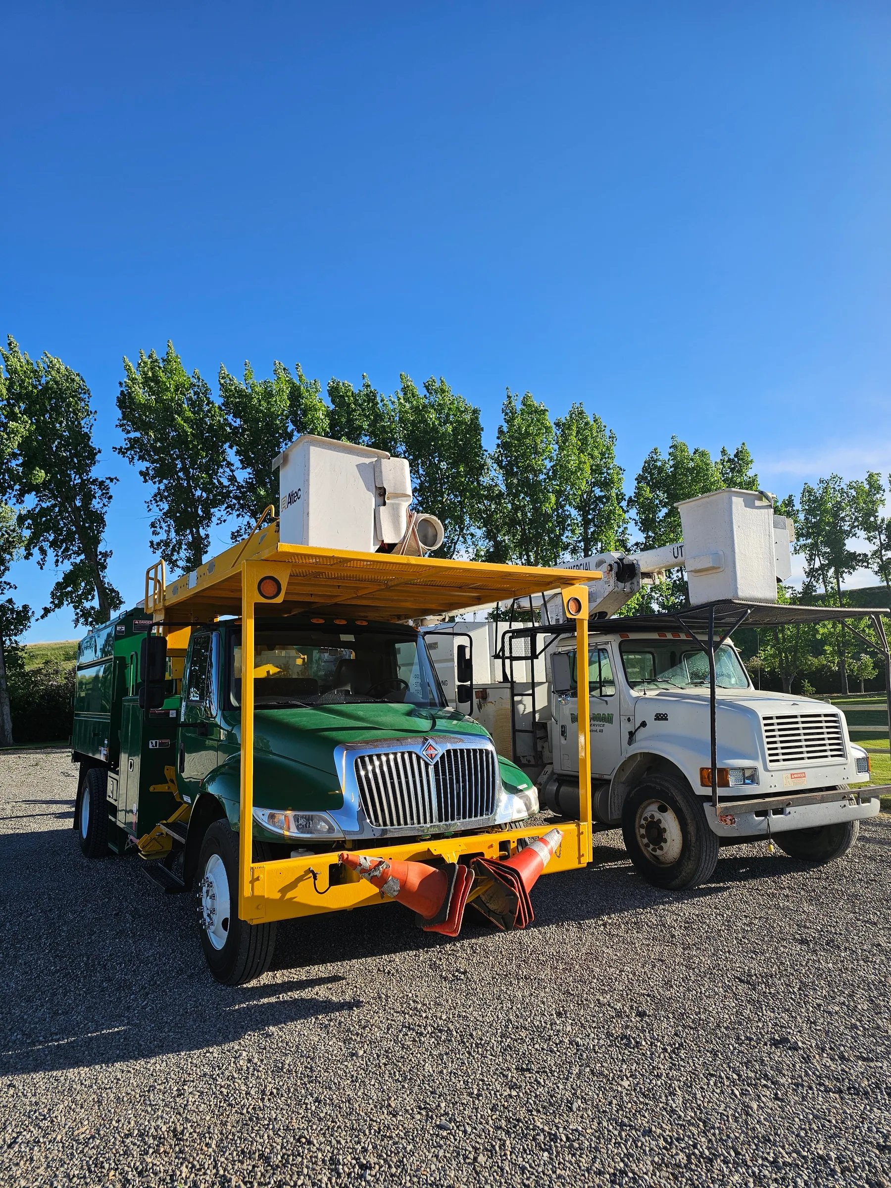 Two Dandyman tree service trucks ready for field work