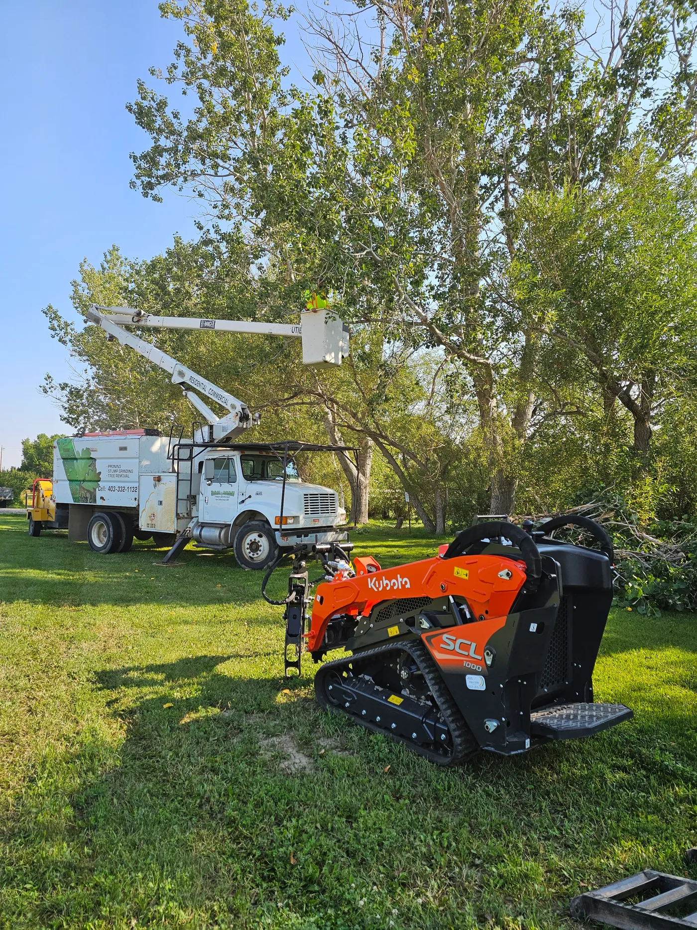 Bucket truck and compact loader set up beneath mature trees