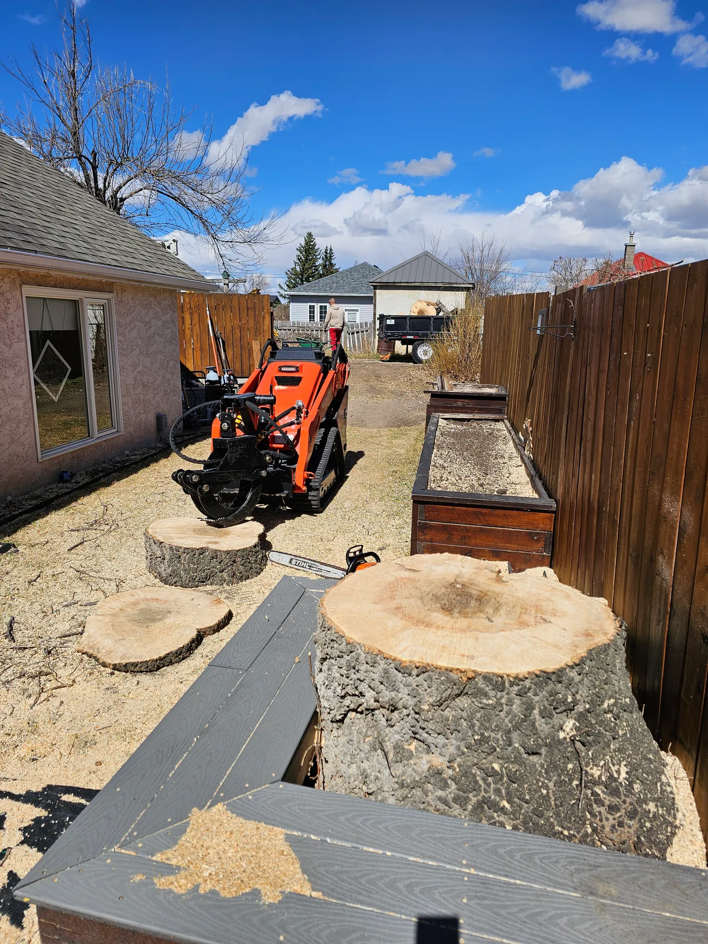 Compact loader working between freshly cut residential stumps