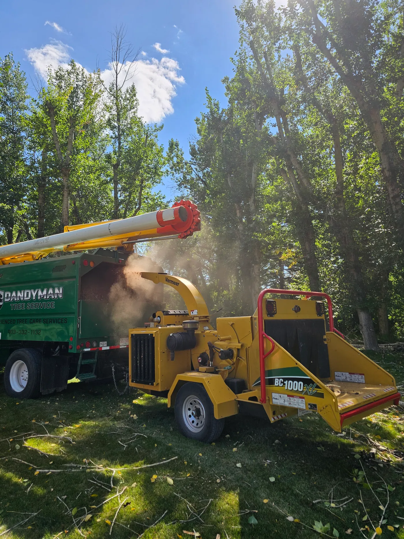 Wood chipper processing branches beside Dandyman equipment